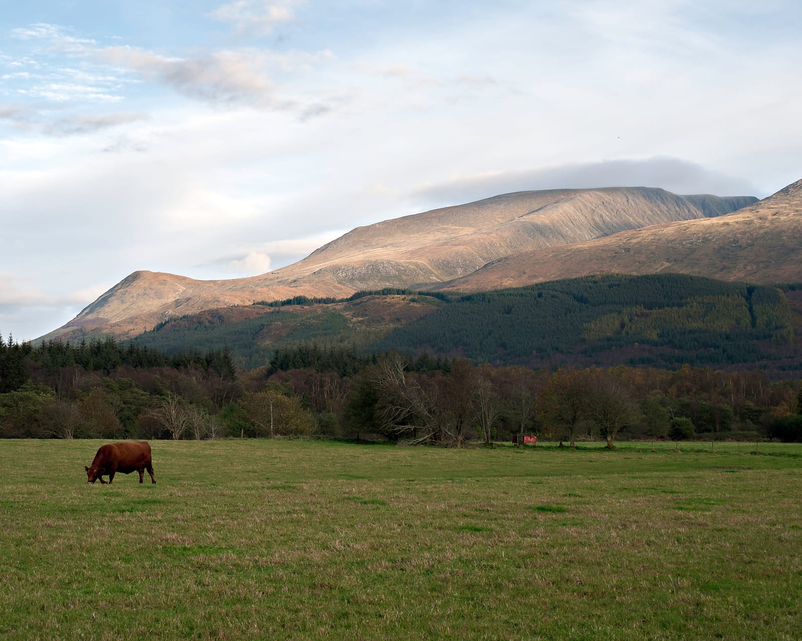 Aonach Mòr