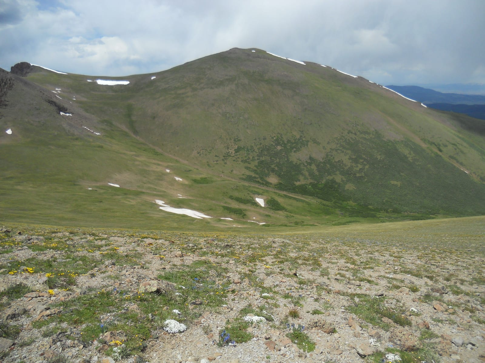 Baldy Alto, a peak on the Colorado 13ers list