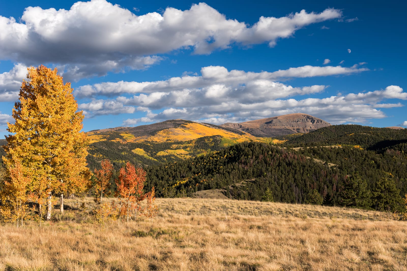 Bennett Peak, a peak on the Colorado 13ers list