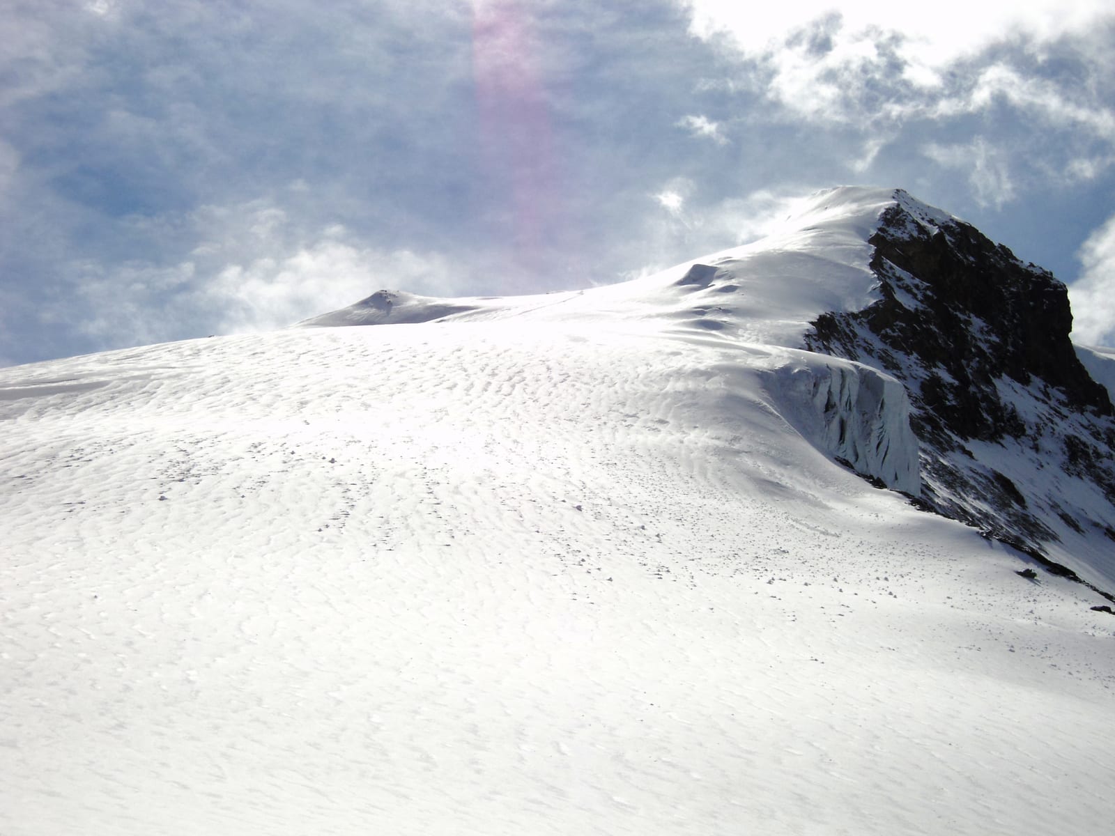 Bishorn