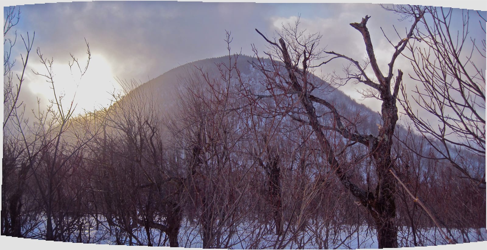 Black Dome