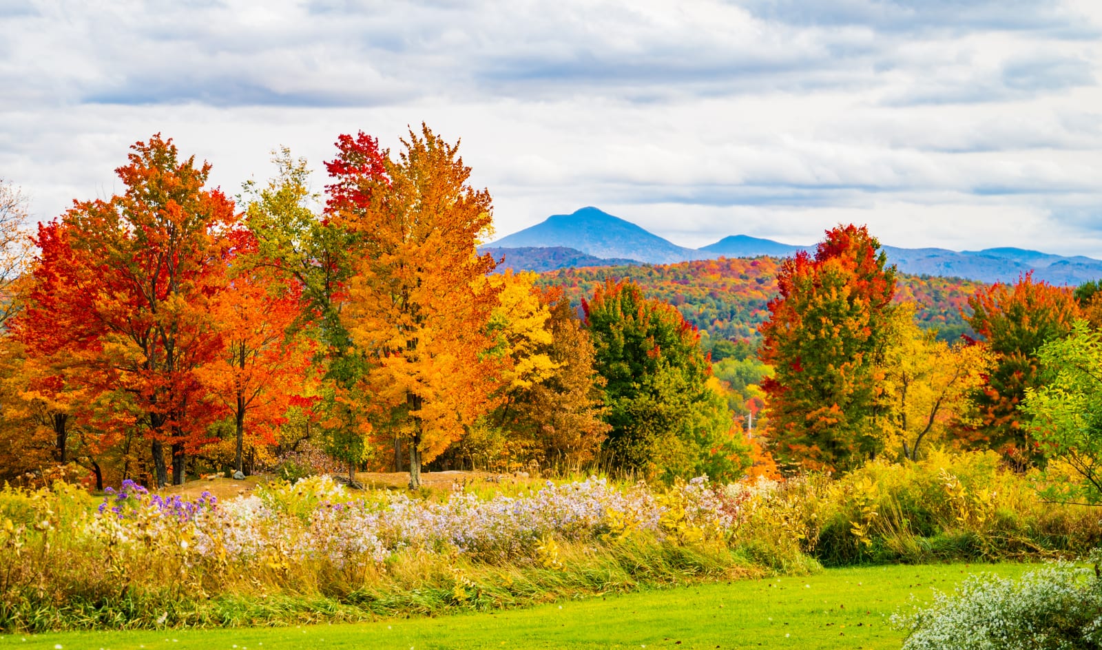 Camel's Hump