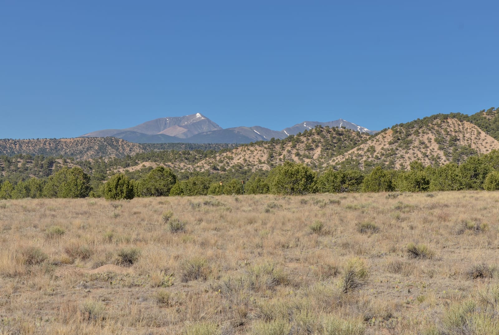 Chipeta Mtn, a peak on the Colorado 13ers list