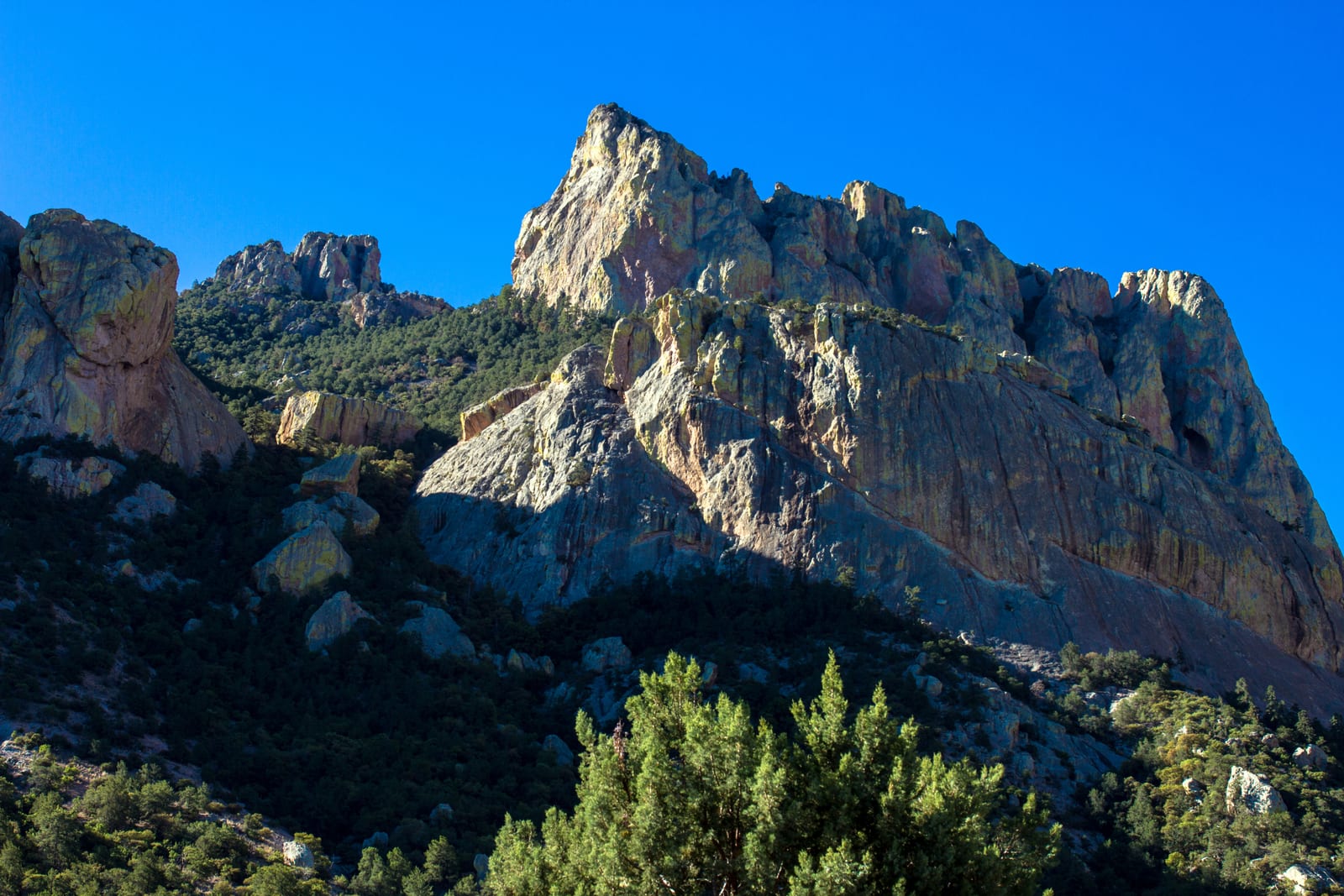 Chiricahua Peak