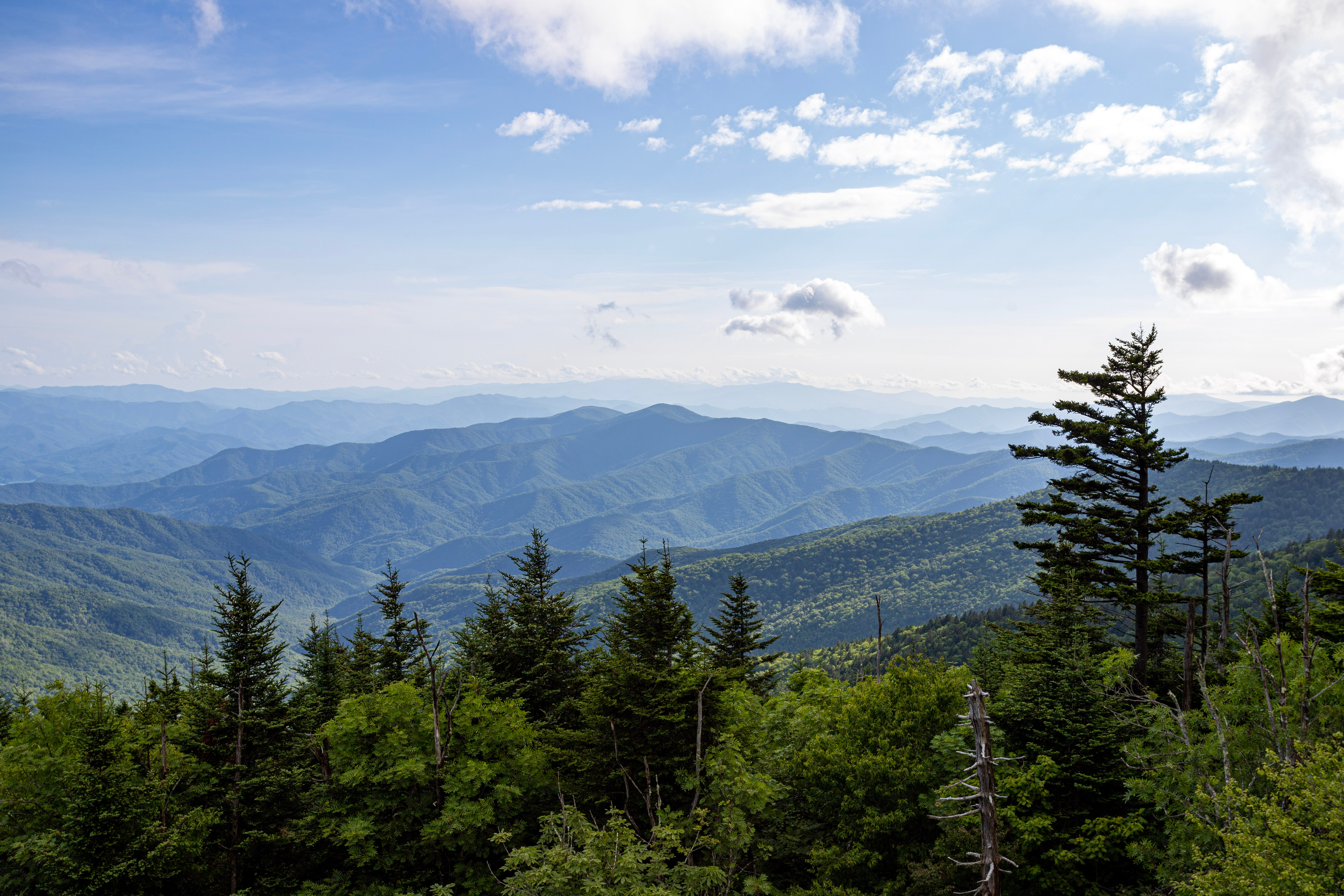 Kuwohi (Clingmans Dome)