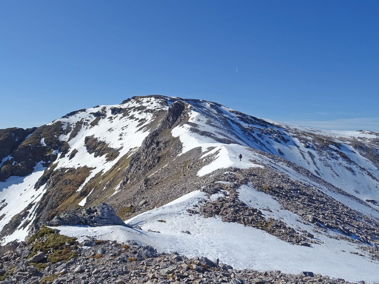 Conival