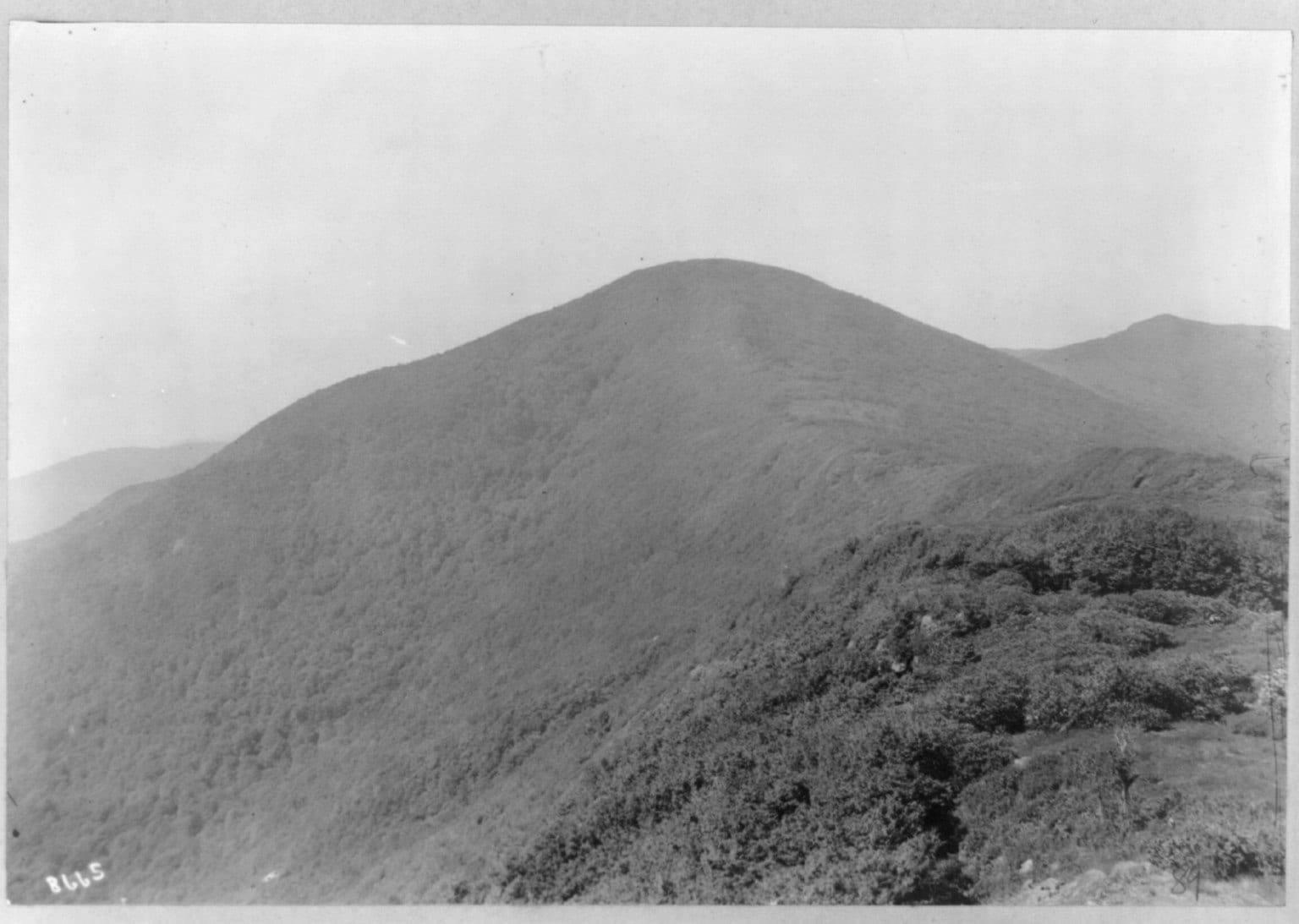 Craggy Dome
