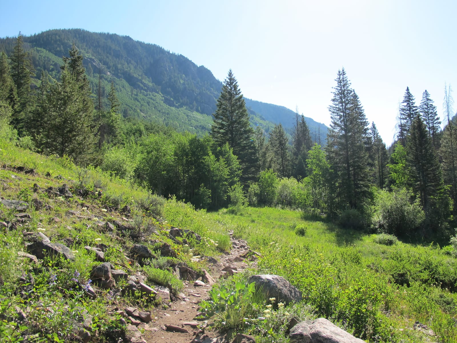 Grand Traverse Peak, a peak on the Colorado 13ers list