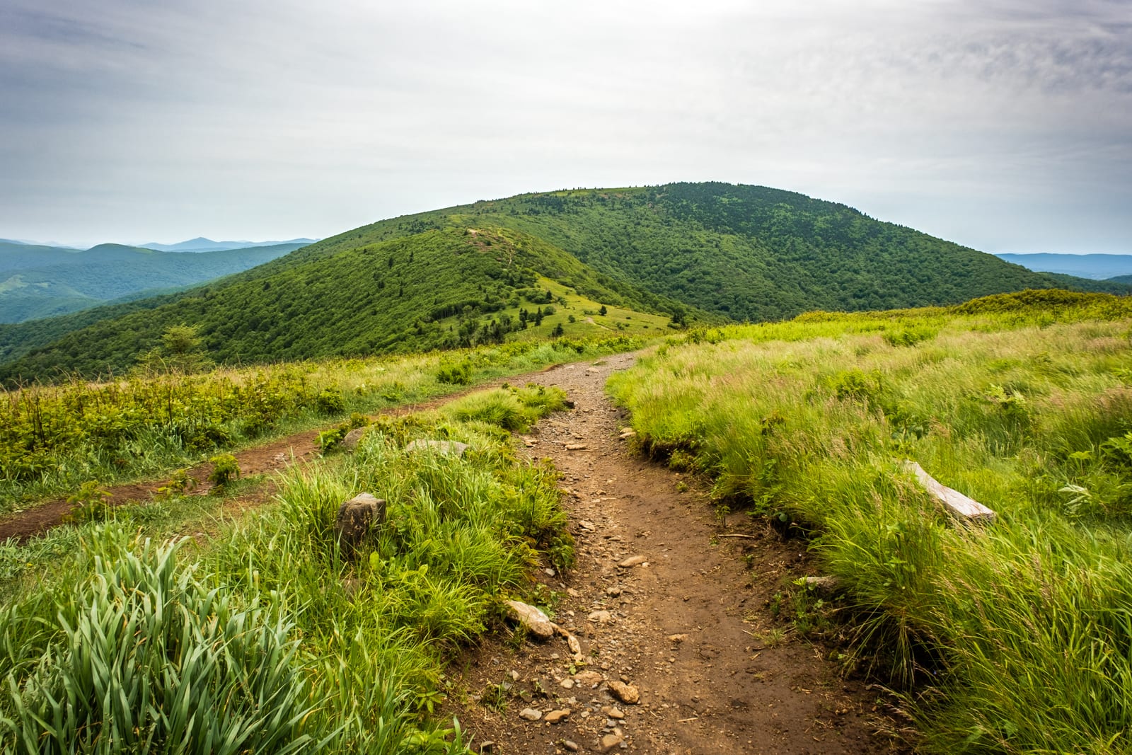 Grassy Ridge Bald