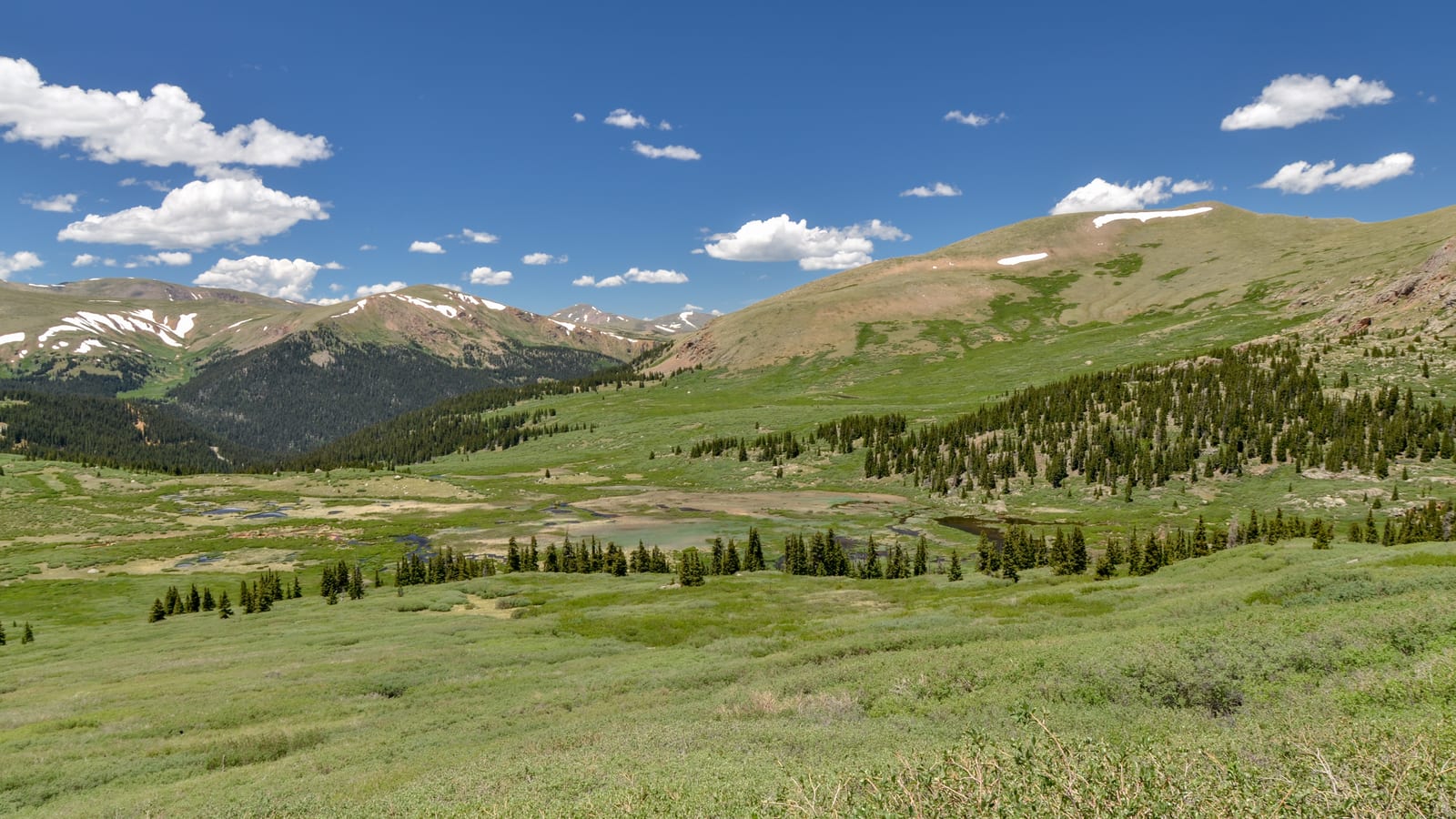 Gray Wolf Mtn, a peak on the Colorado 13ers list