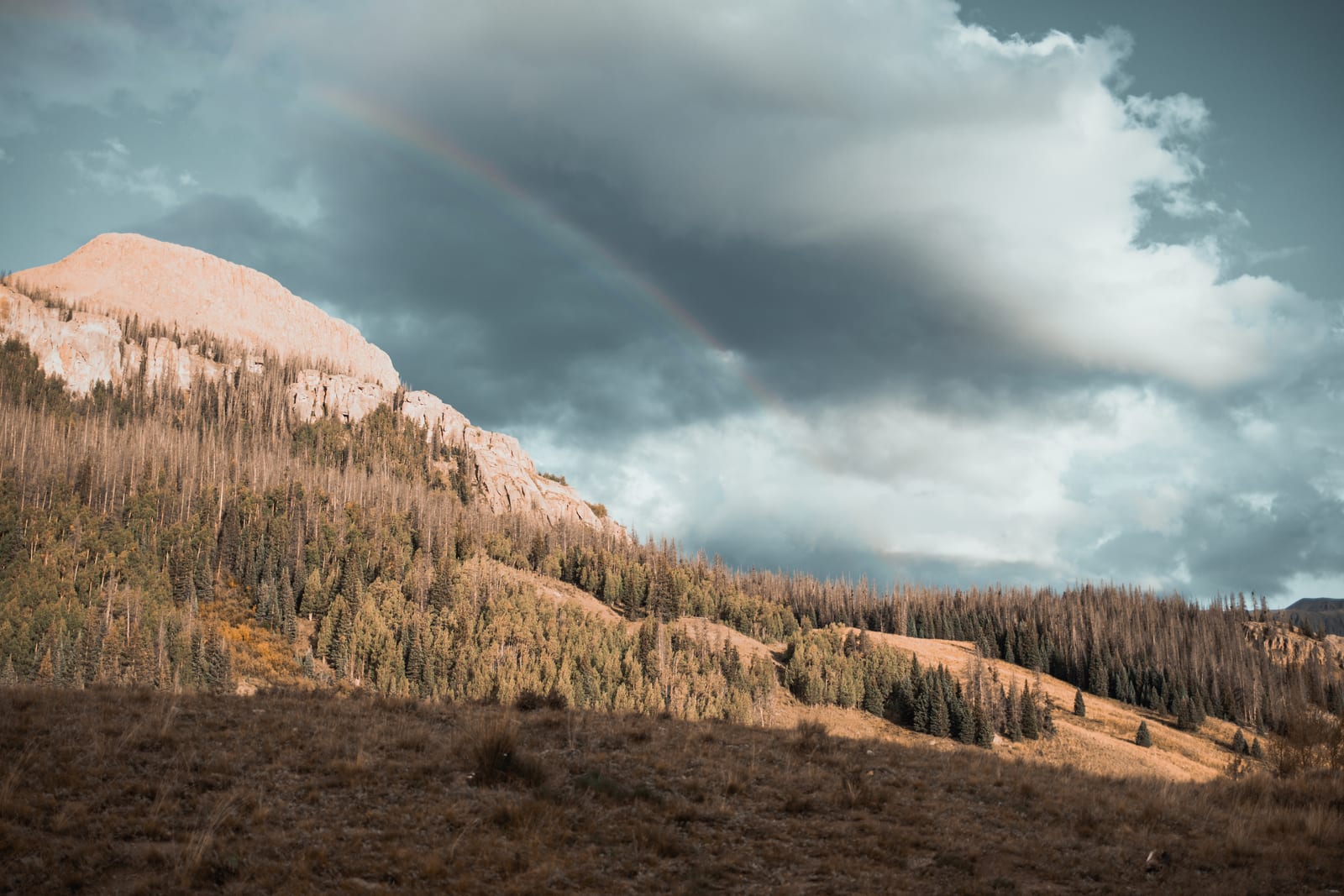 Greenhalgh Mtn, a peak on the Colorado 13ers list