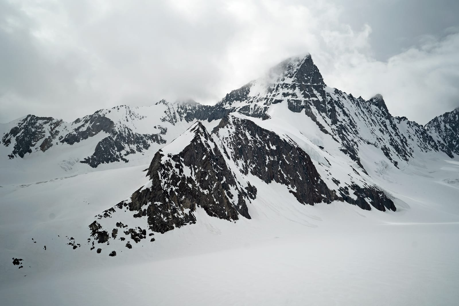 Grünhorn