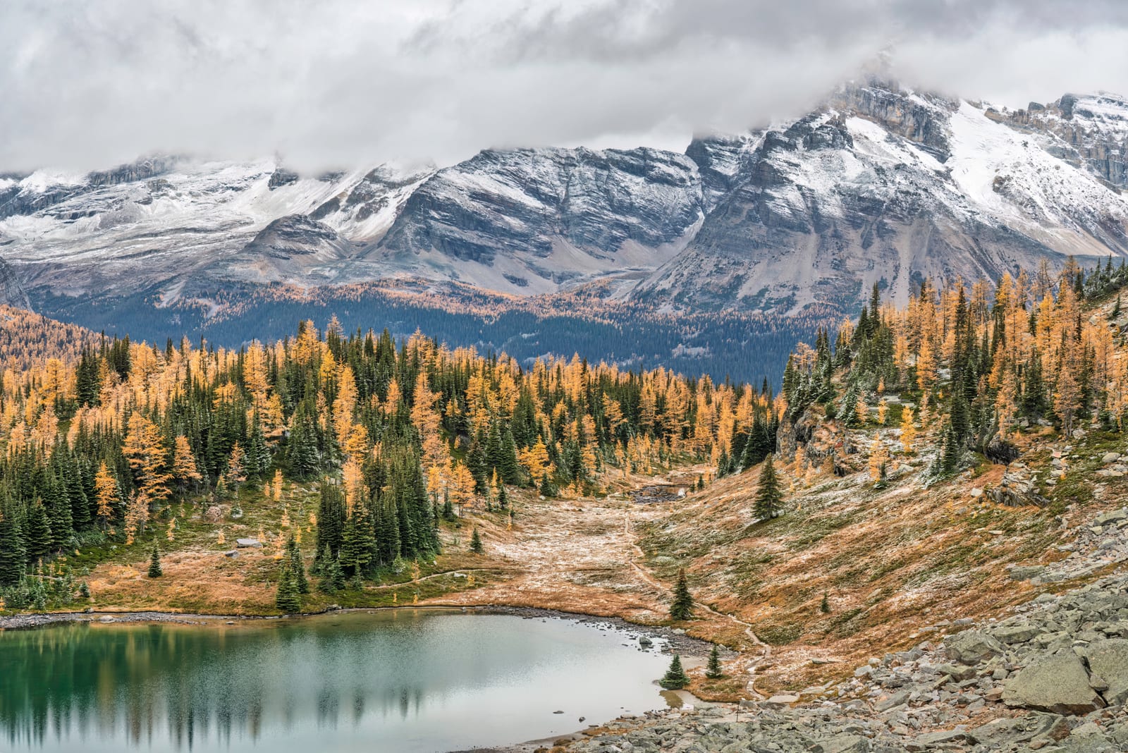 Hungabee Mountain