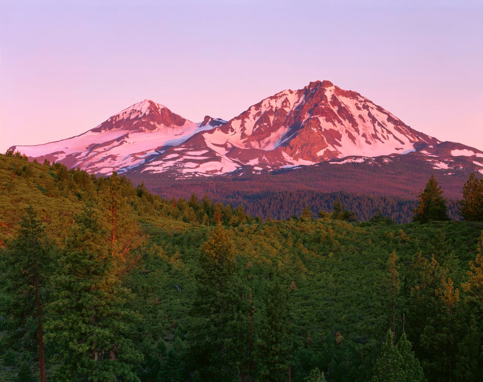 Middle Sister