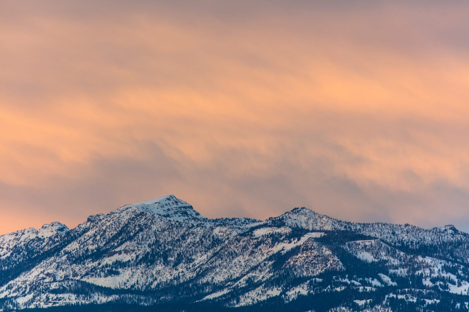 Monitor Peak, a peak on the Colorado 13ers list