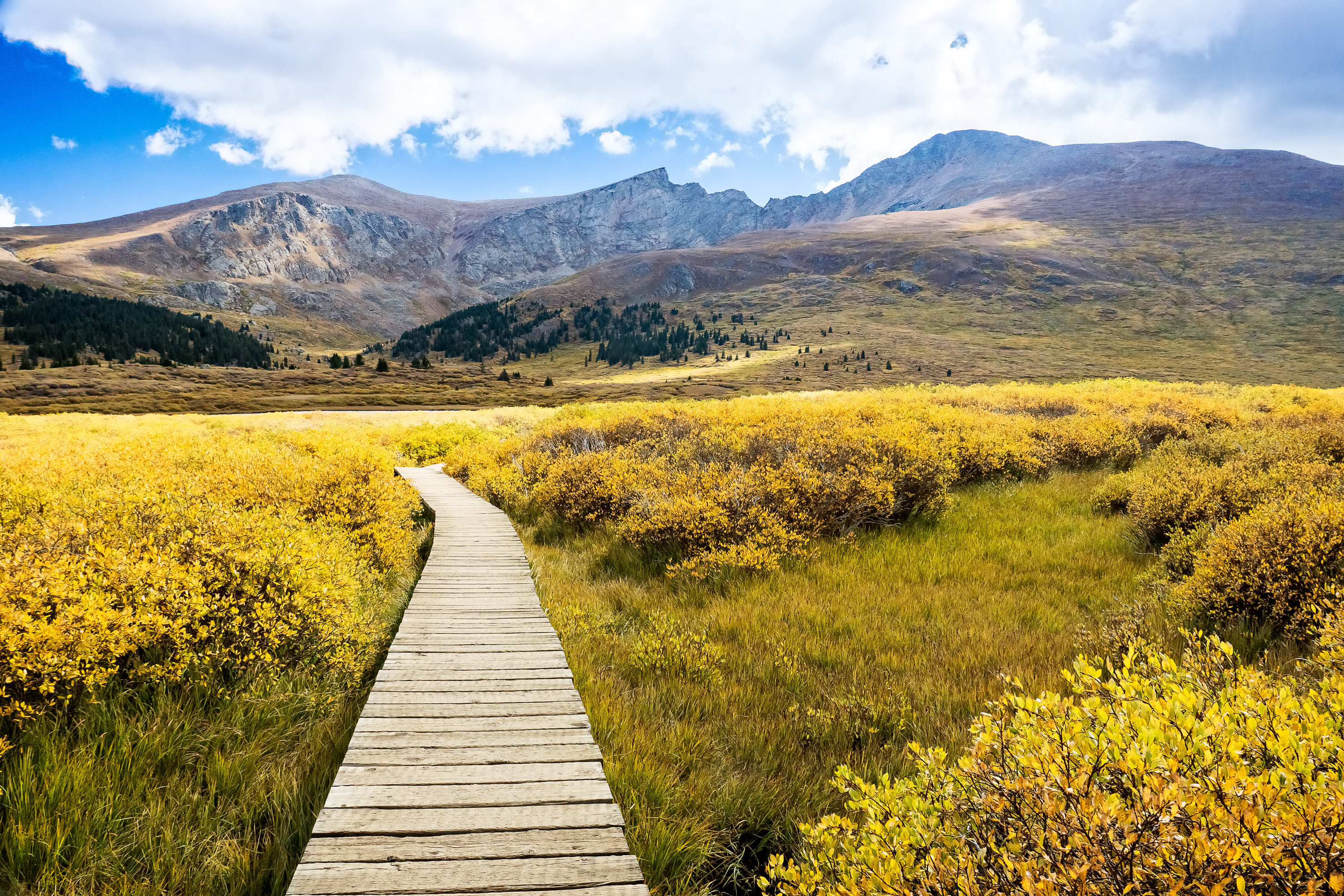 Mount Bierstadt