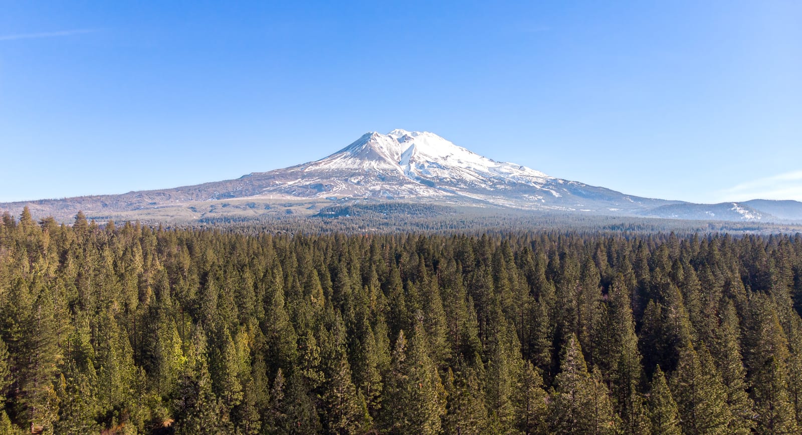 Mount Eddy