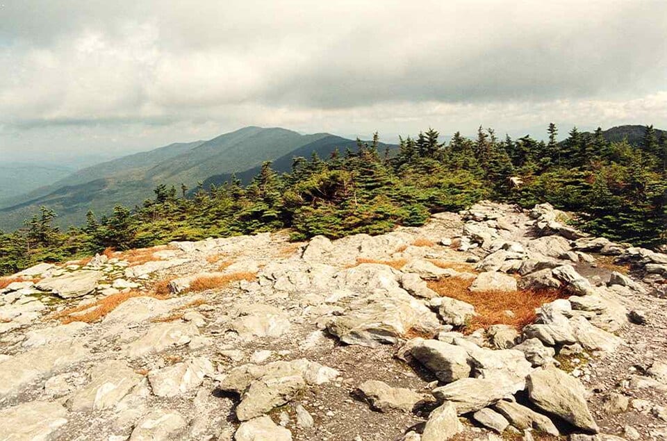 Mount Ellen