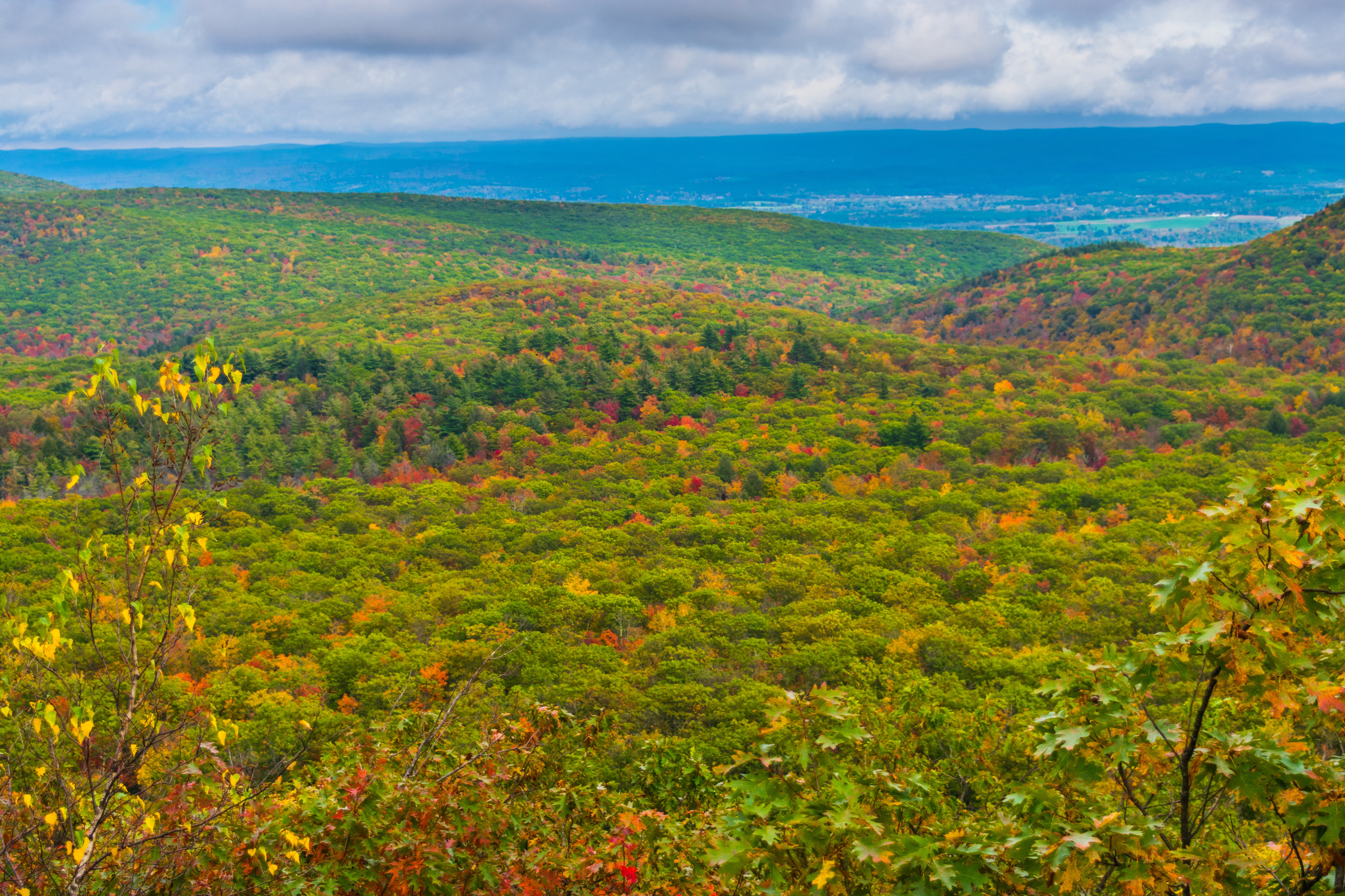 Mount Frissell