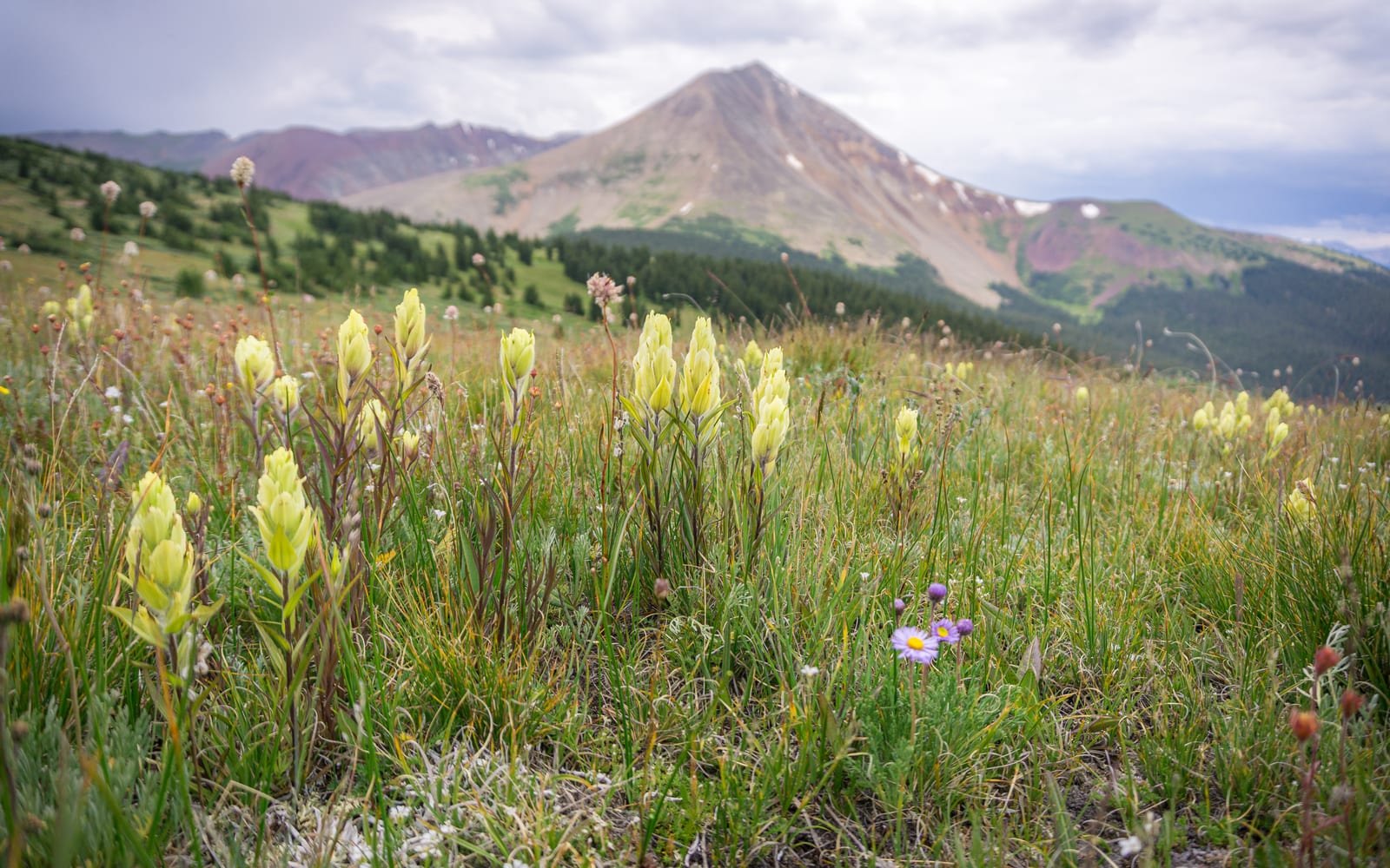 Mount Guyot, a peak on the Colorado 13ers list