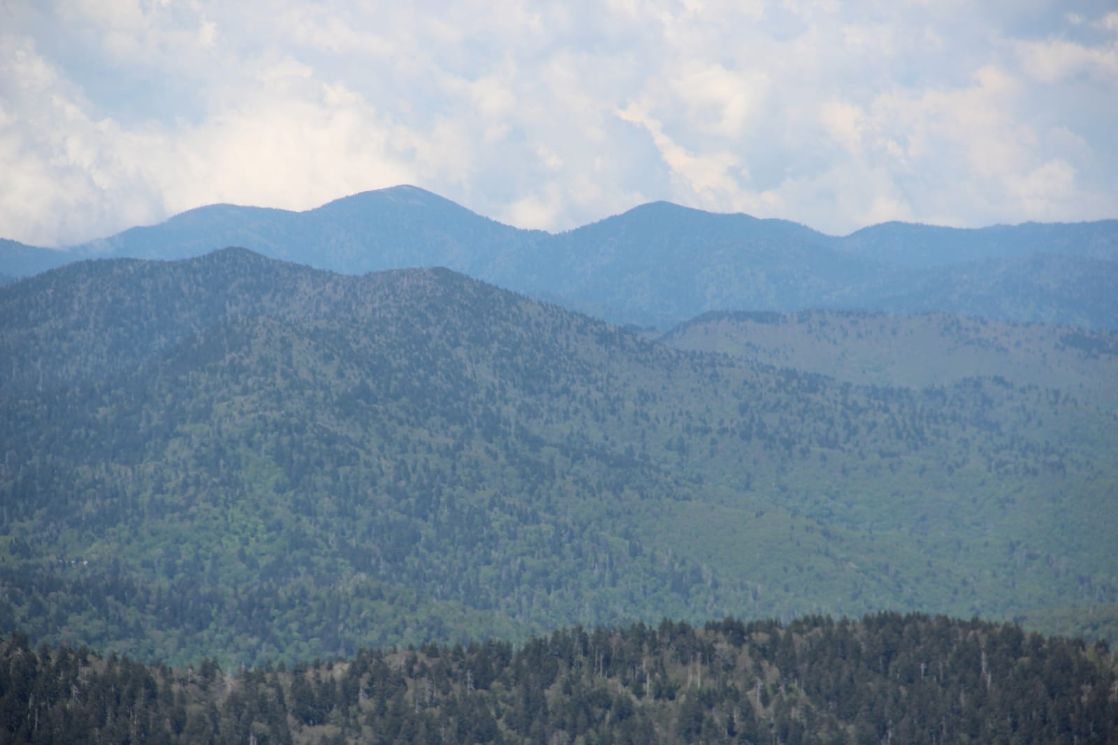 Mount Guyot