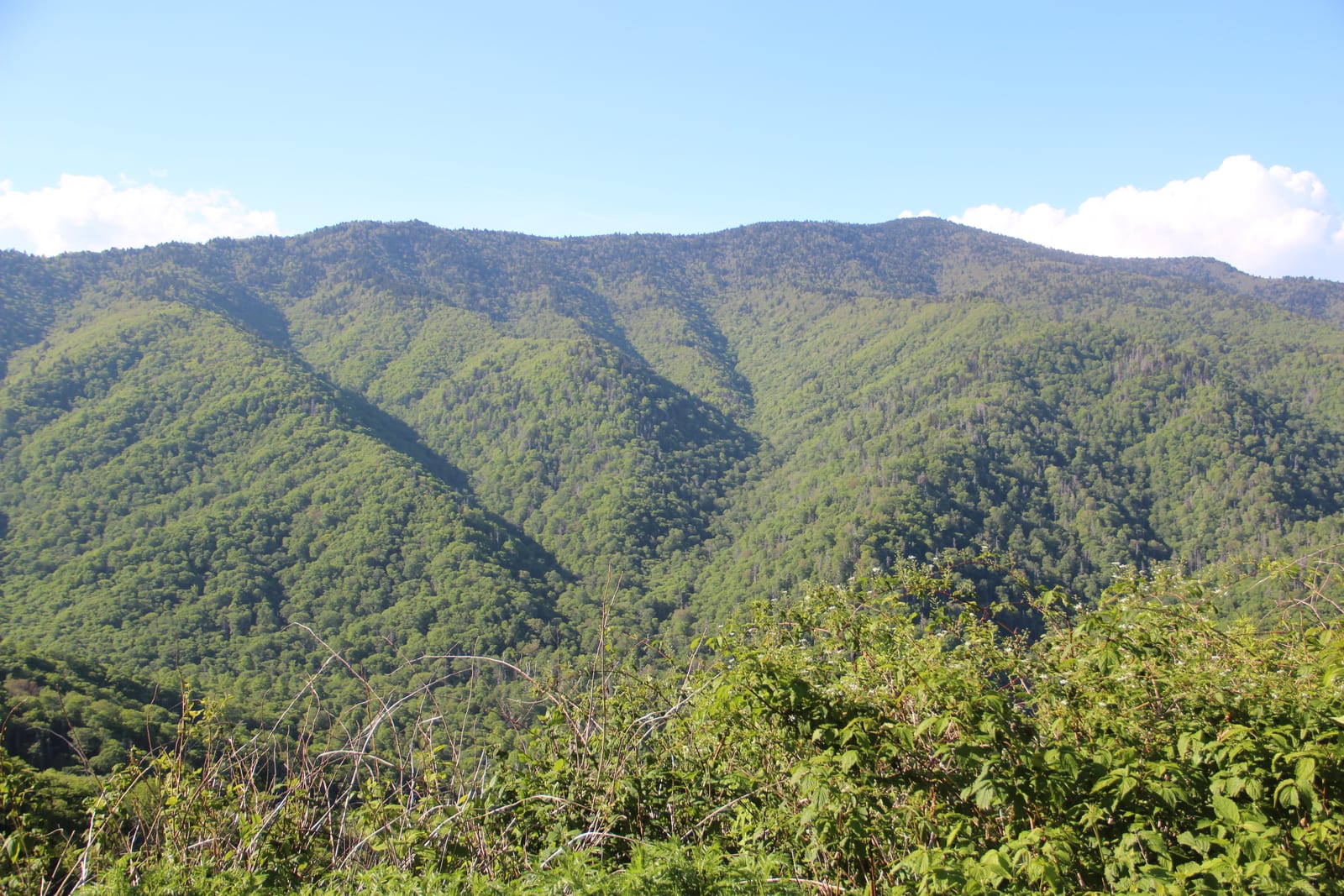 Mount Kephart