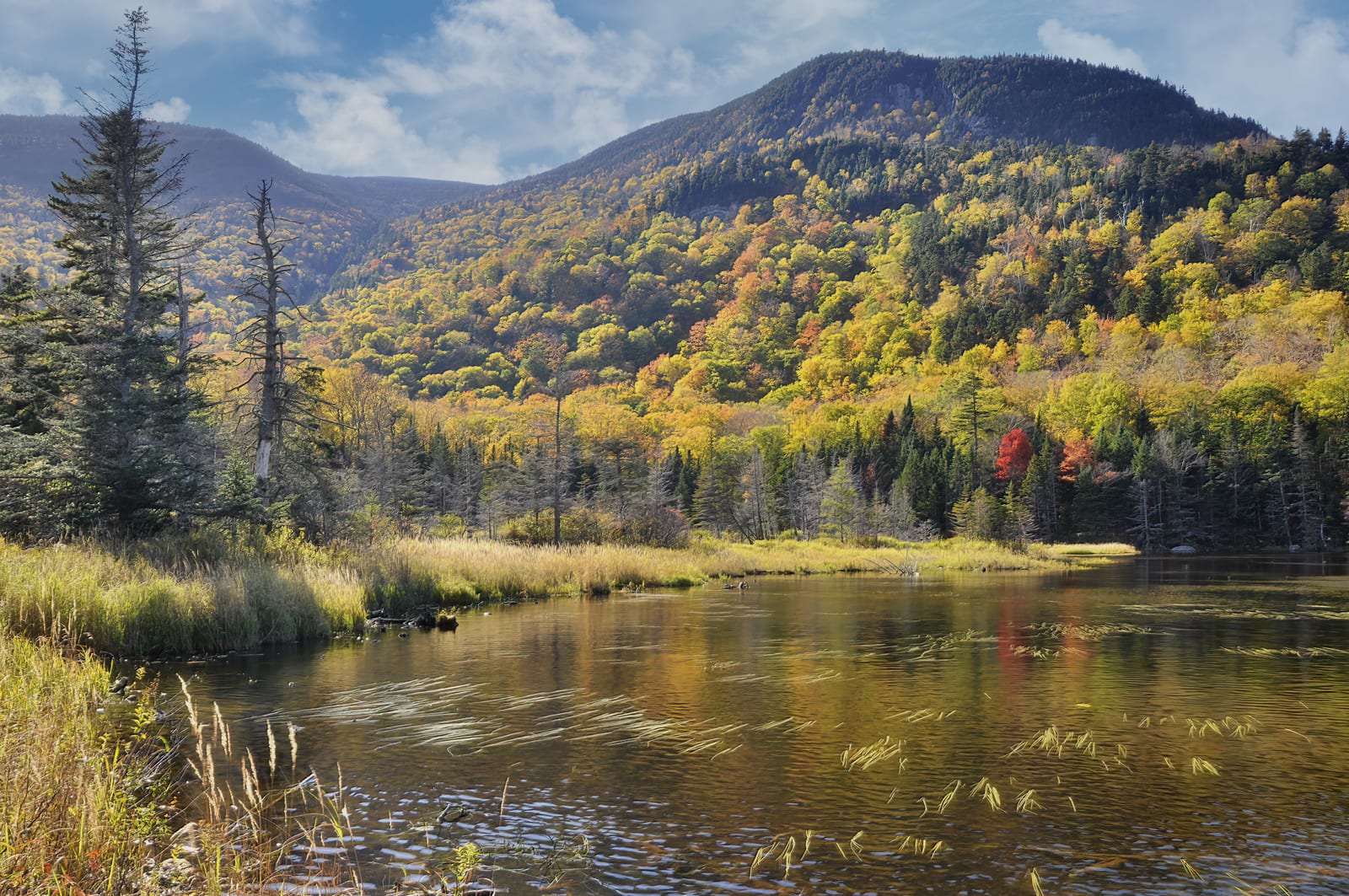 Mount Moosilauke