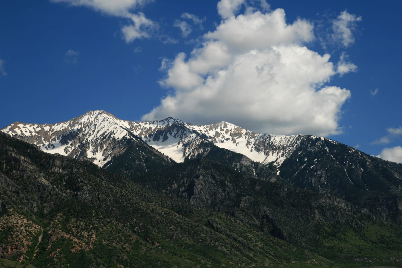 Mount Nebo