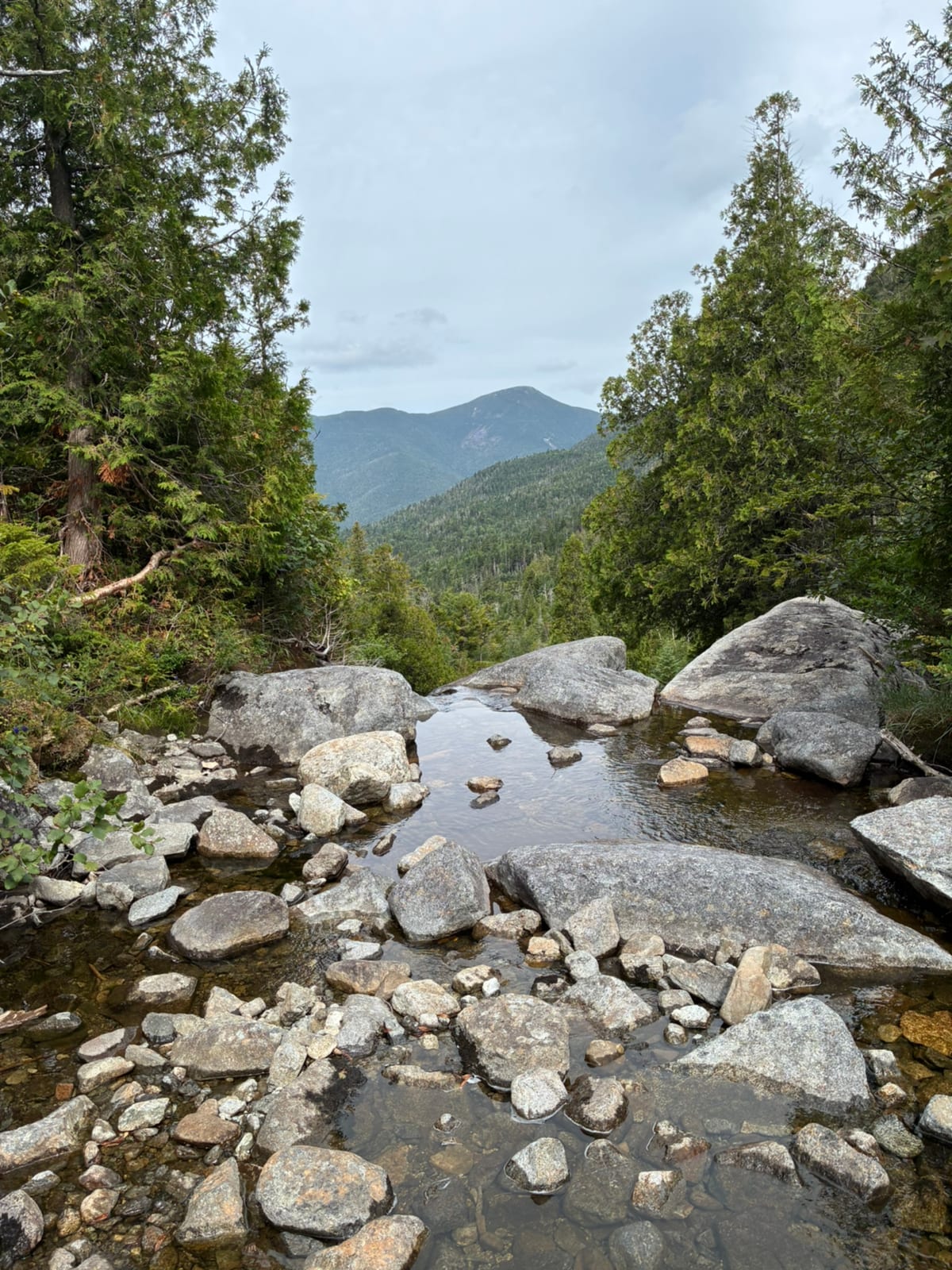 Mount Redfield