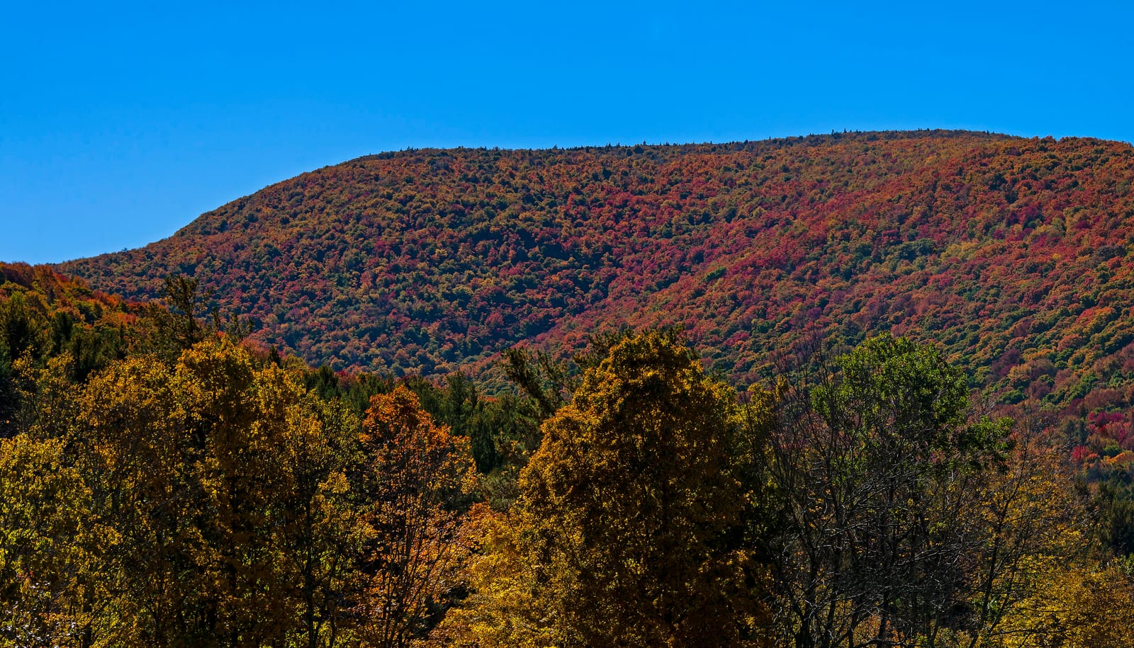 Mount Sherrill