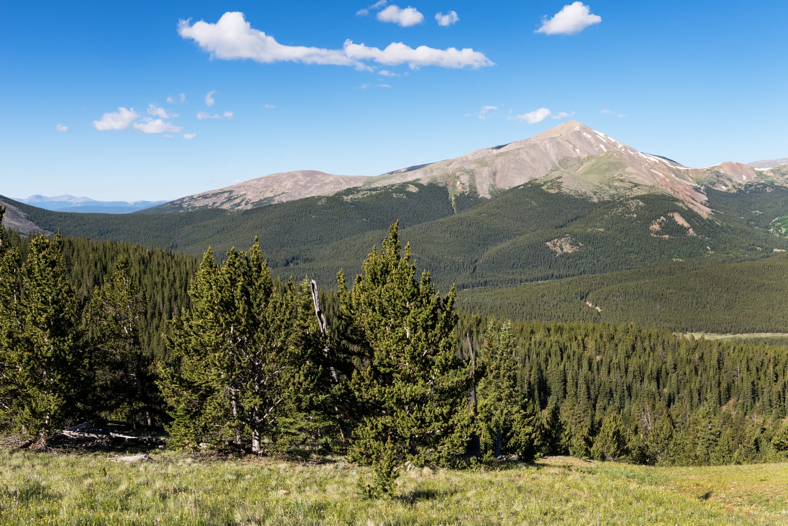 Mount Silverheels