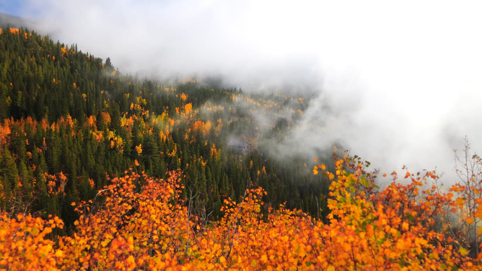 Mount Warren, a peak on the Colorado 13ers list