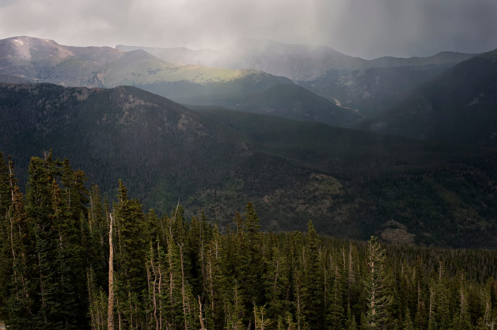 Mummy Mtn, a peak on the Colorado 13ers list