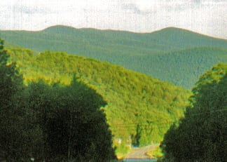 Panther Mountain