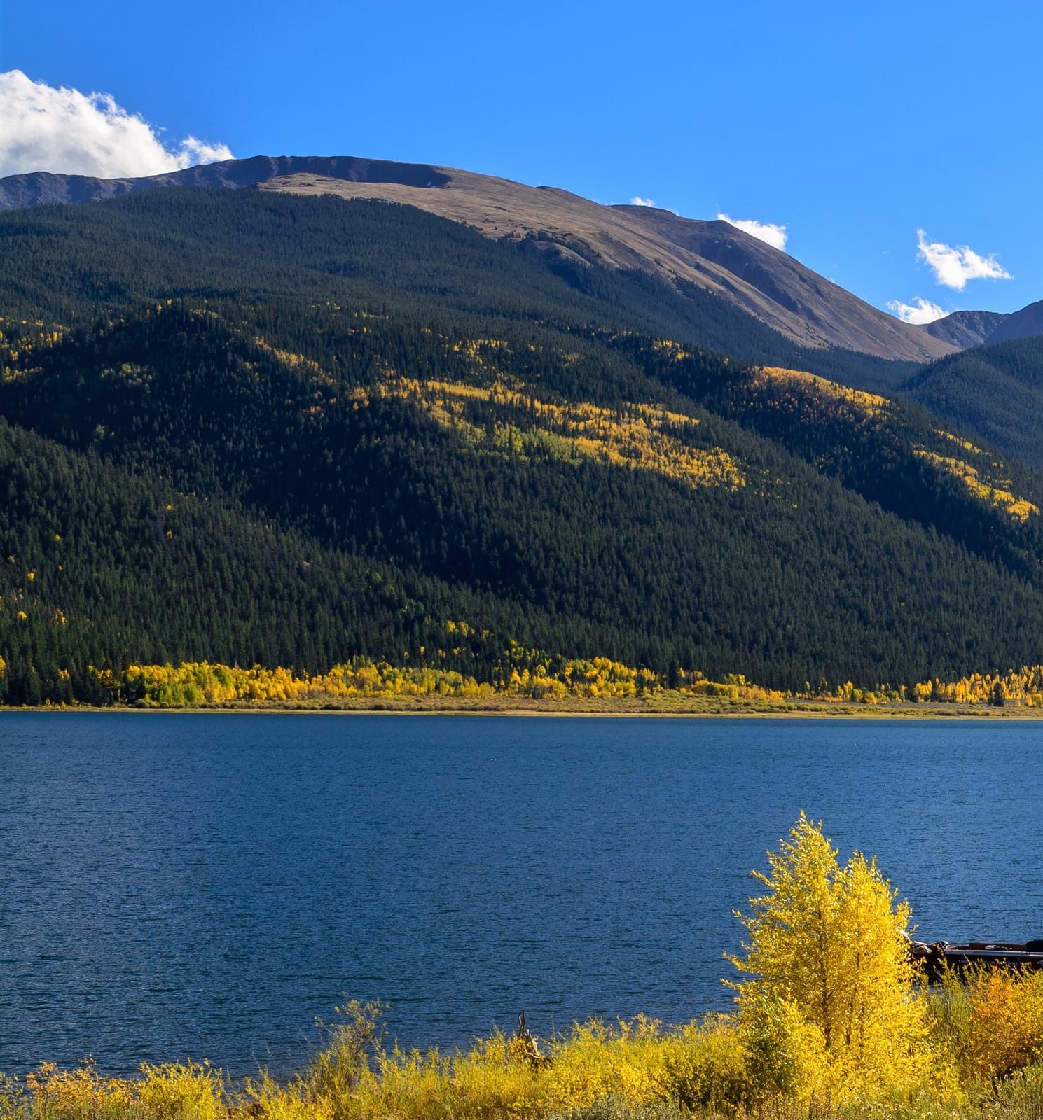 Quail Mtn, a peak on the Colorado 13ers list