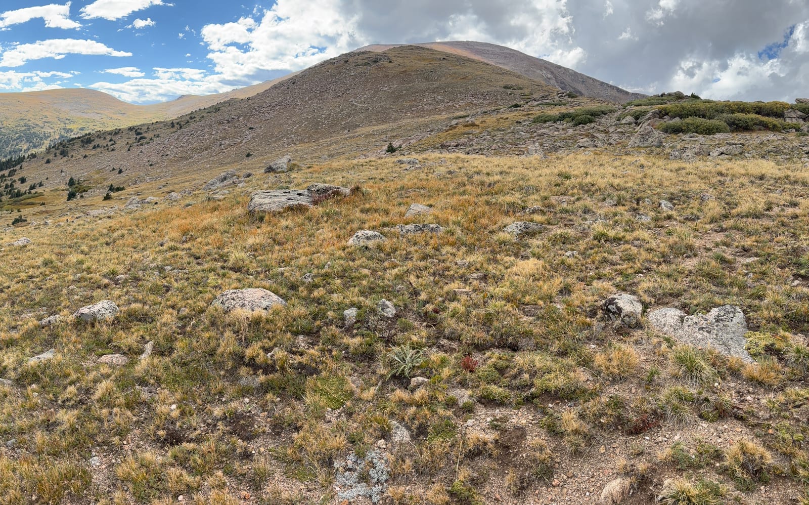 Rosalie Peak, a peak on the Colorado 13ers list