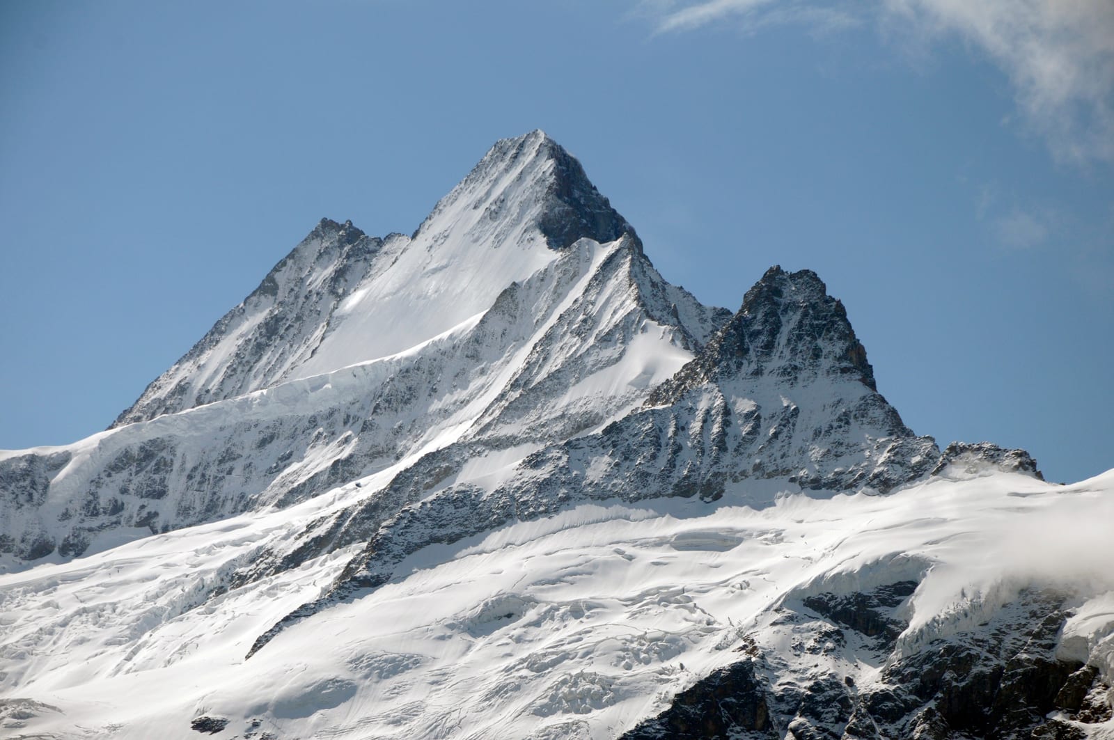 Schreckhorn