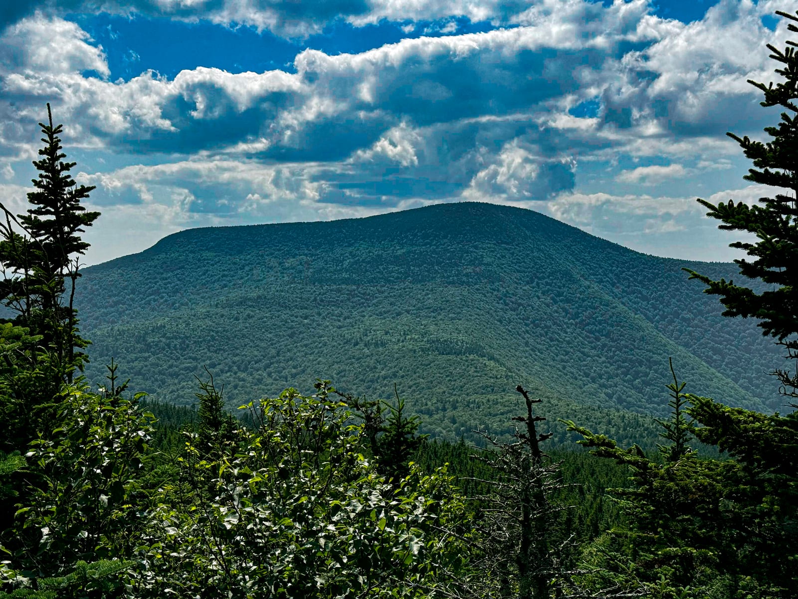 Slide Mountain