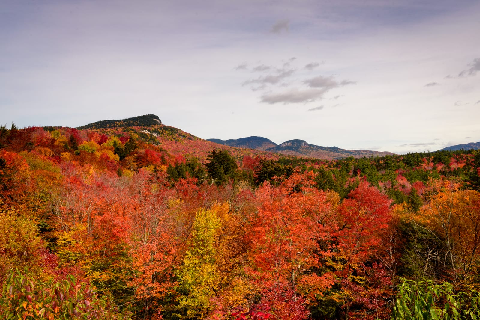 South Hancock