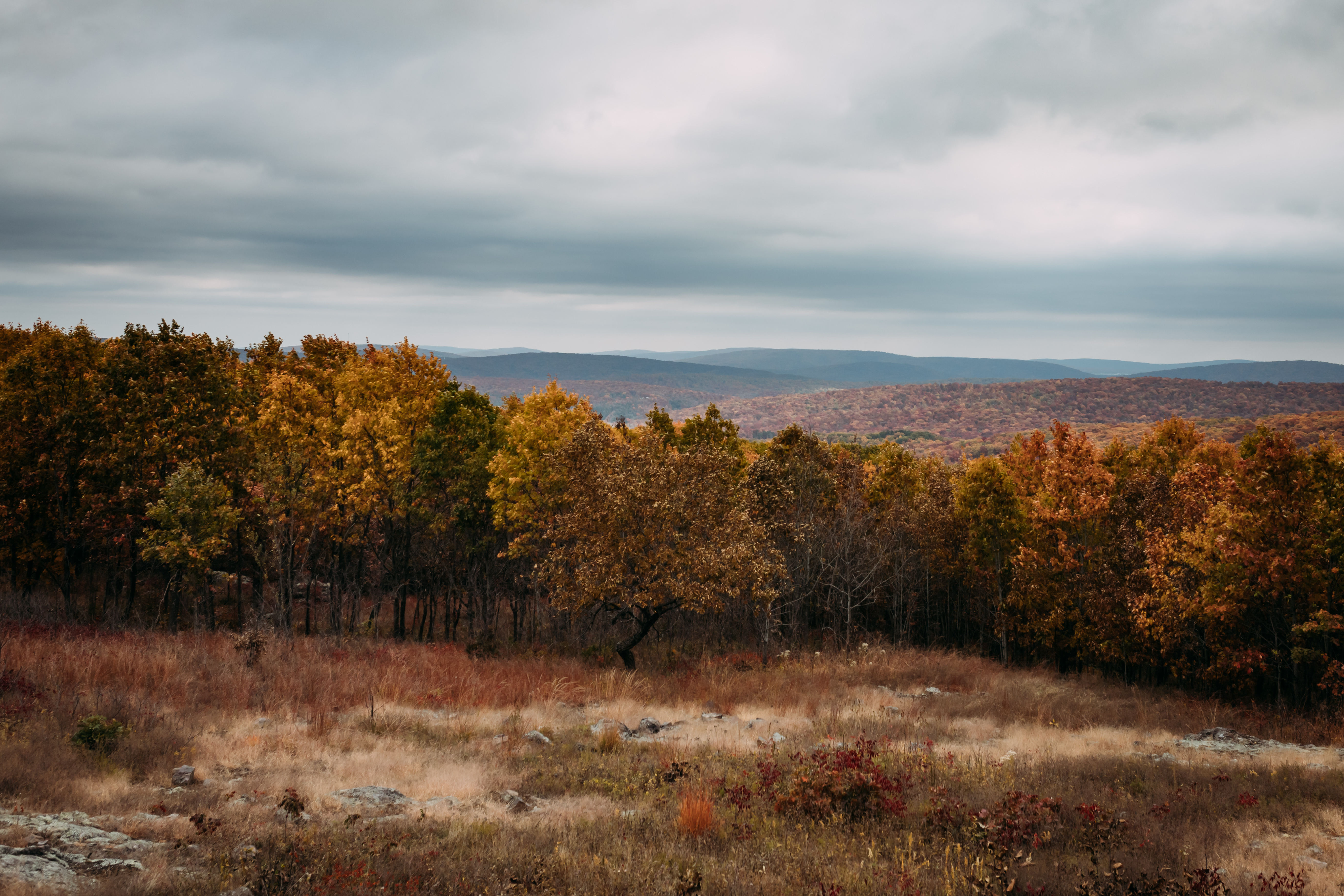 Taum Sauk Mountain