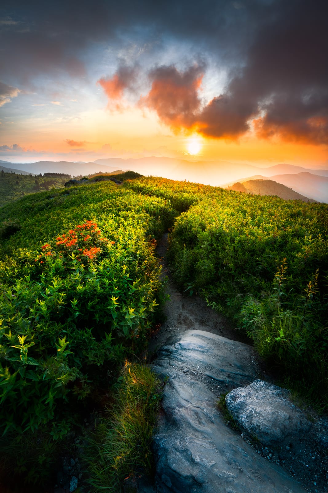 Tennent Mountain