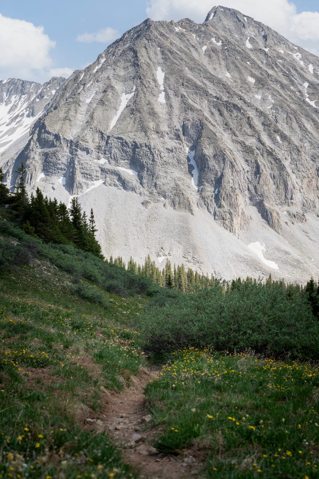 White Rock Mtn, a peak on the Colorado 13ers list