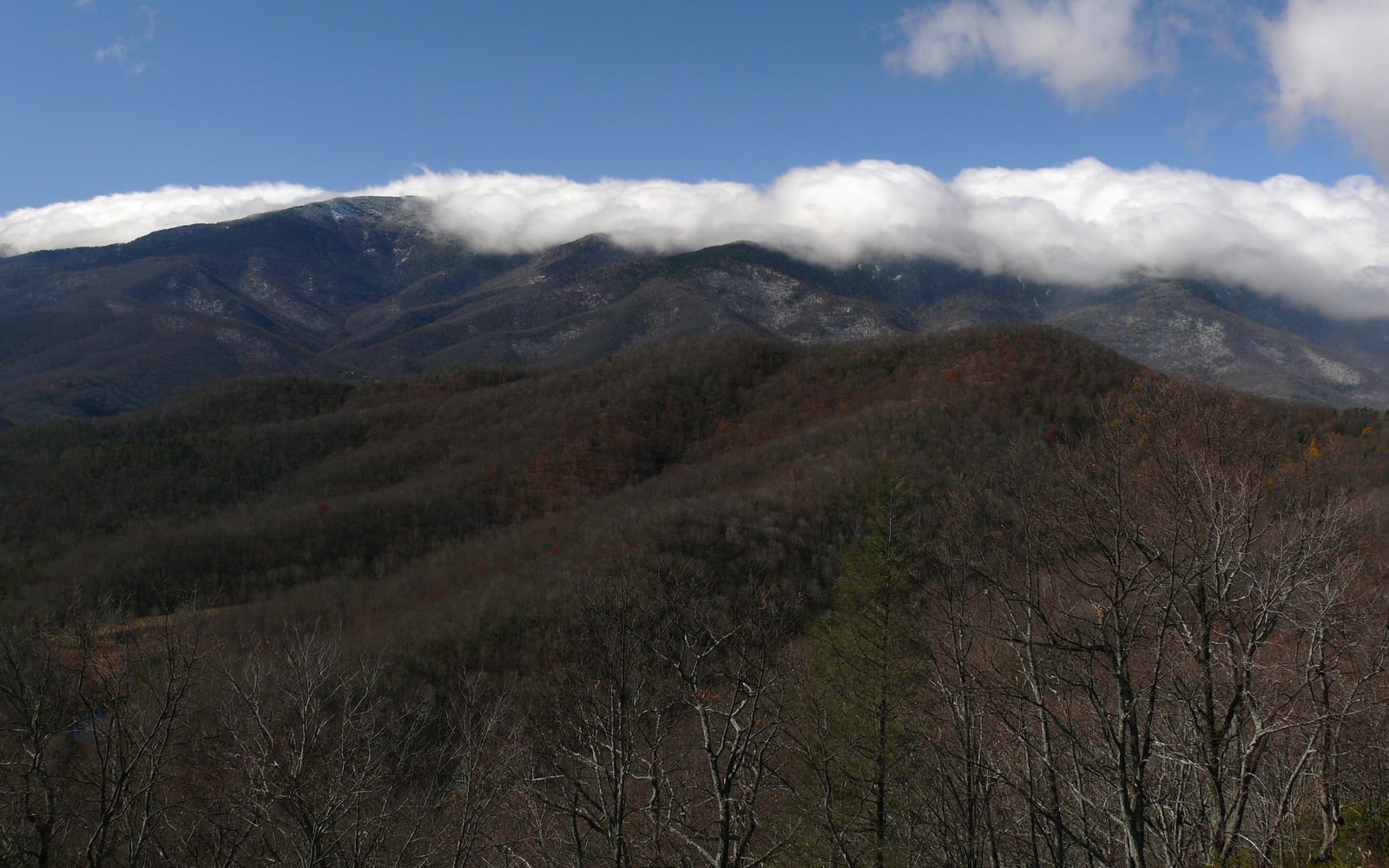 Winter Star Mountain